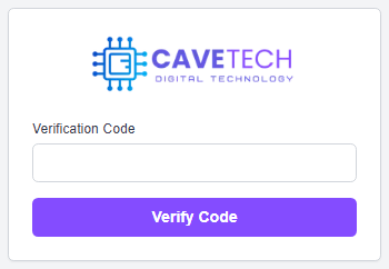 Verification code input field