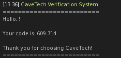 Second Life chat message with verification code